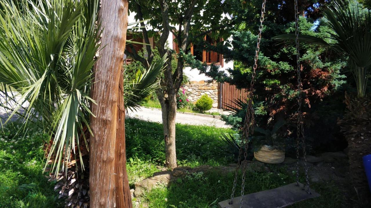 Ковчег Lidzava المظهر الخارجي الصورة